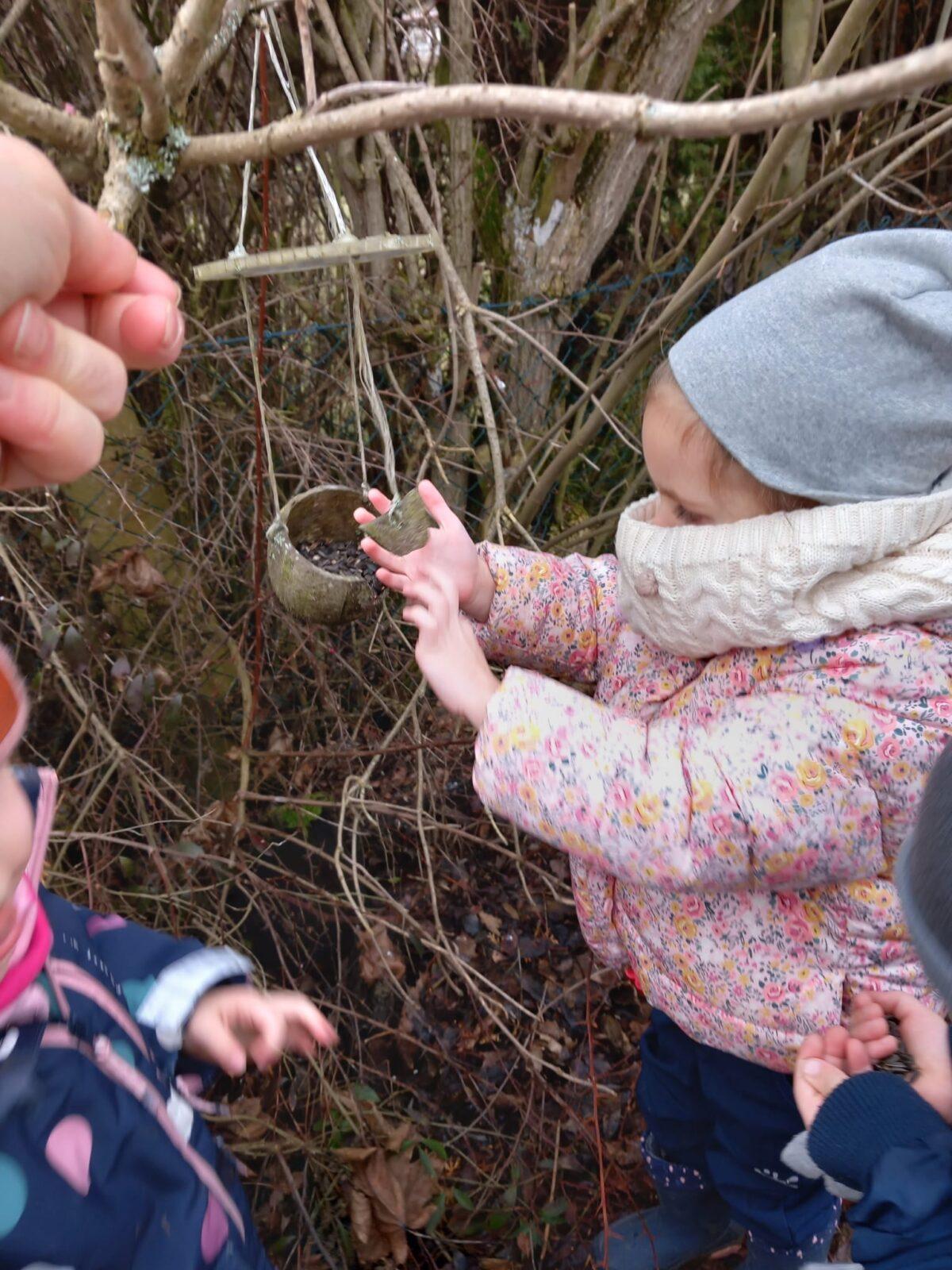 hry na ledu a krmení ptáčků - 1