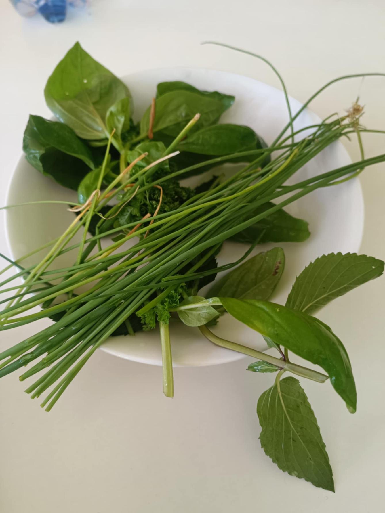 Týden plný zábavy II - úterý - 2