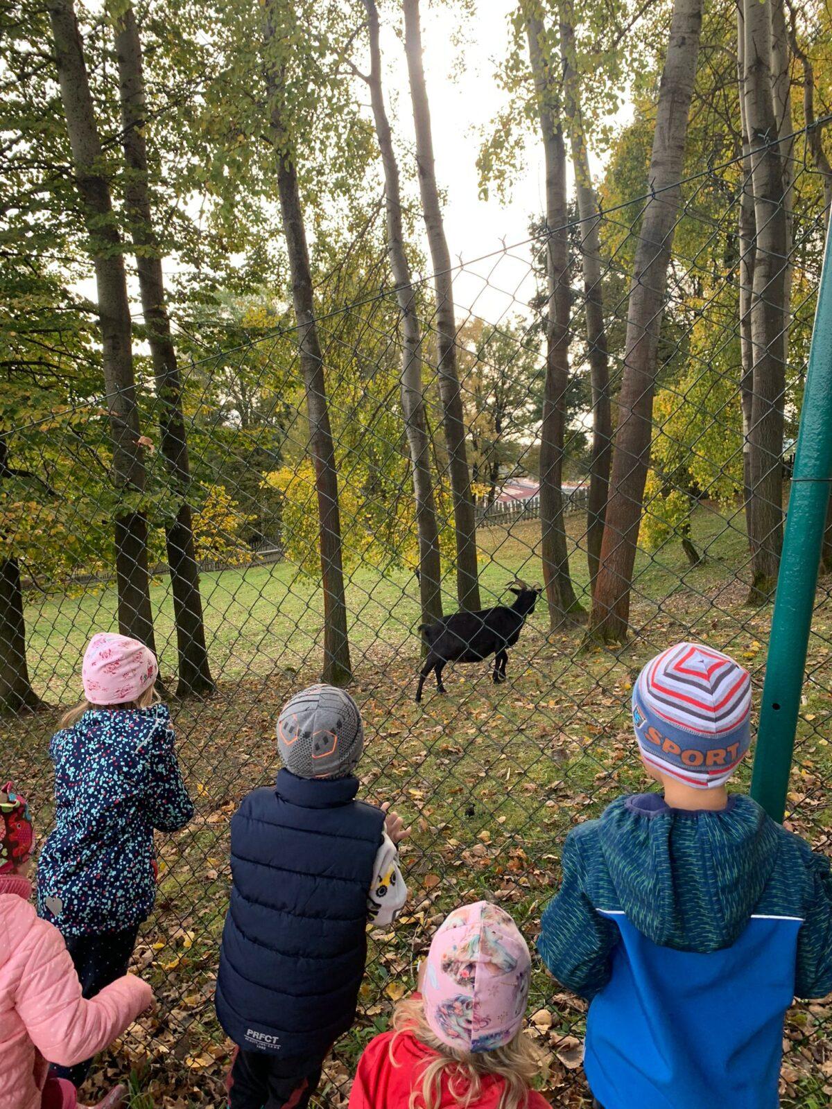 Procházka podzimní přírodou - 2