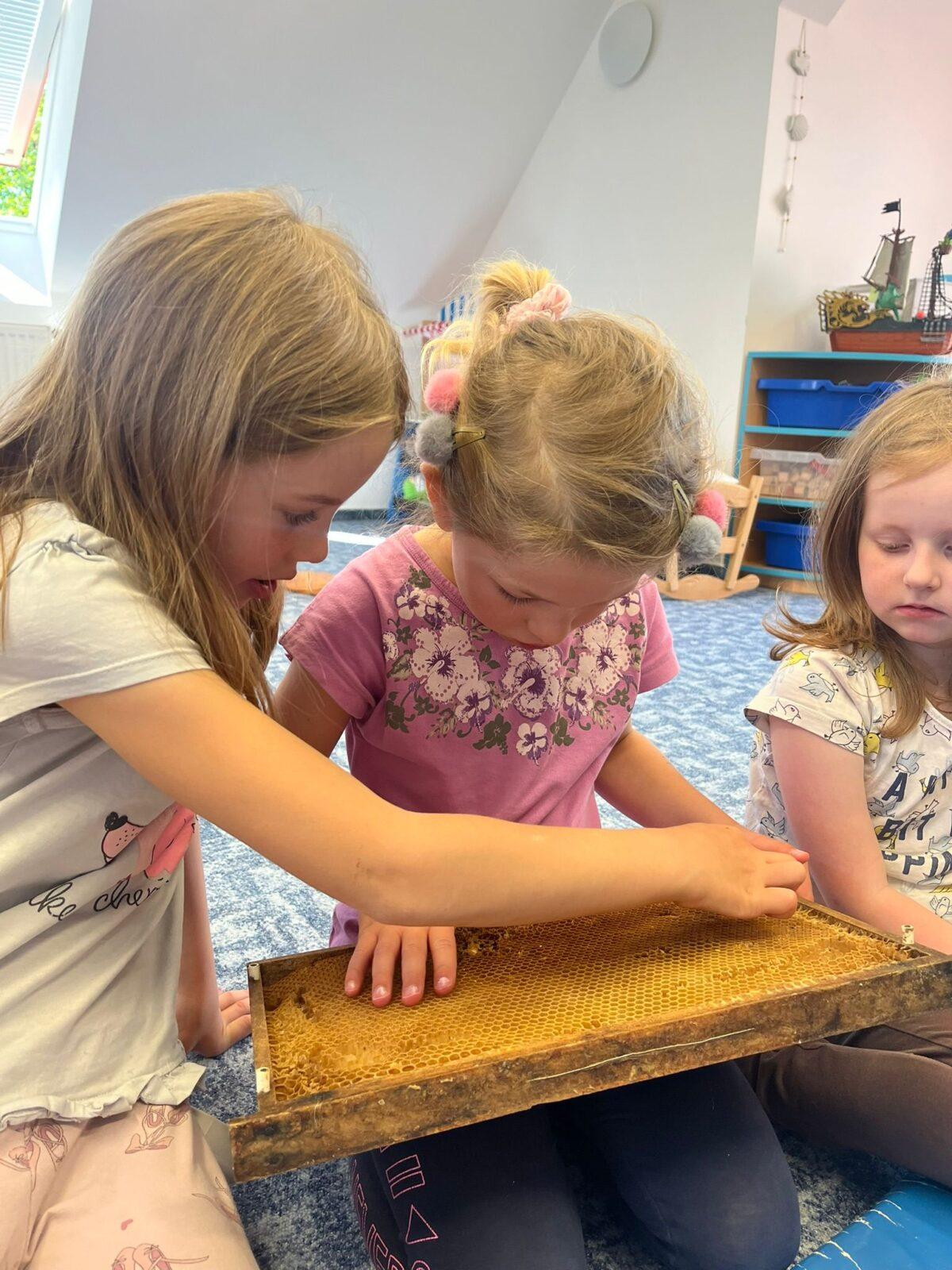 včelky u námořníků - 4