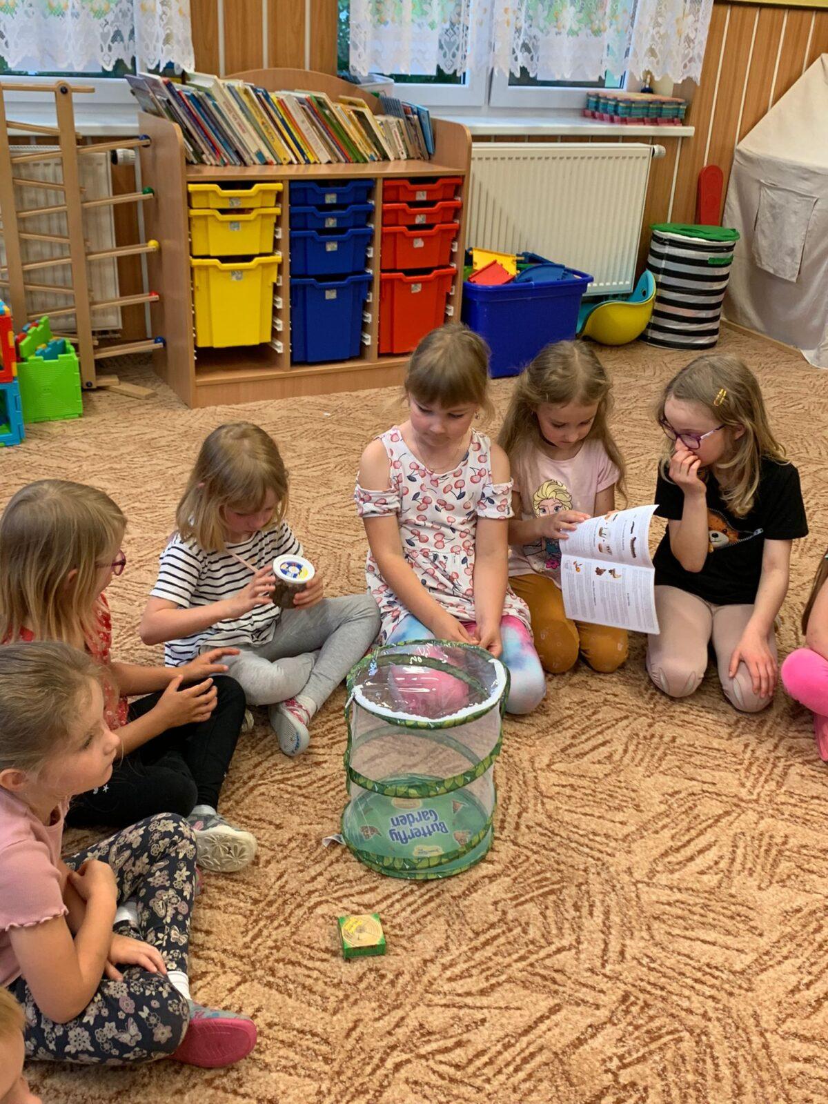 děti pozorovaly vývoj motýla... - 1