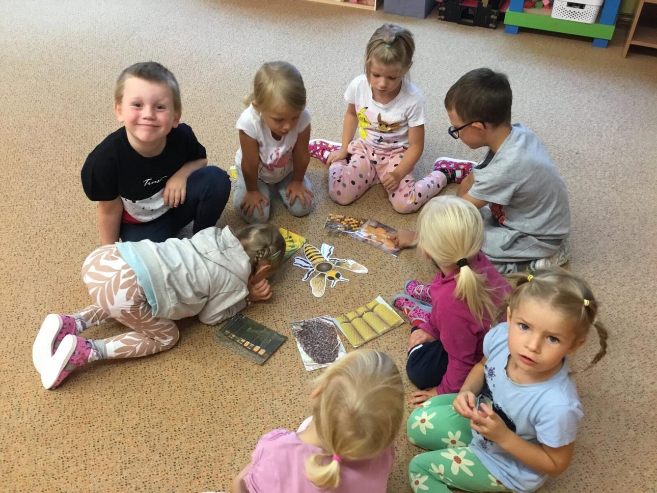 týdenní  projekt: ,,od kytičky k medu" - 1