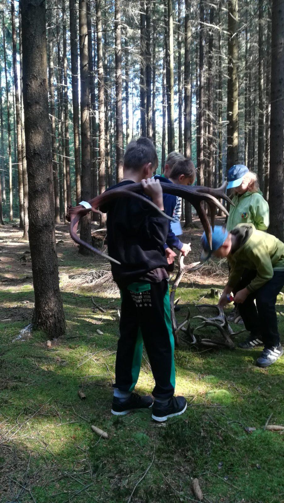 Do lesa s lesníkem - 4