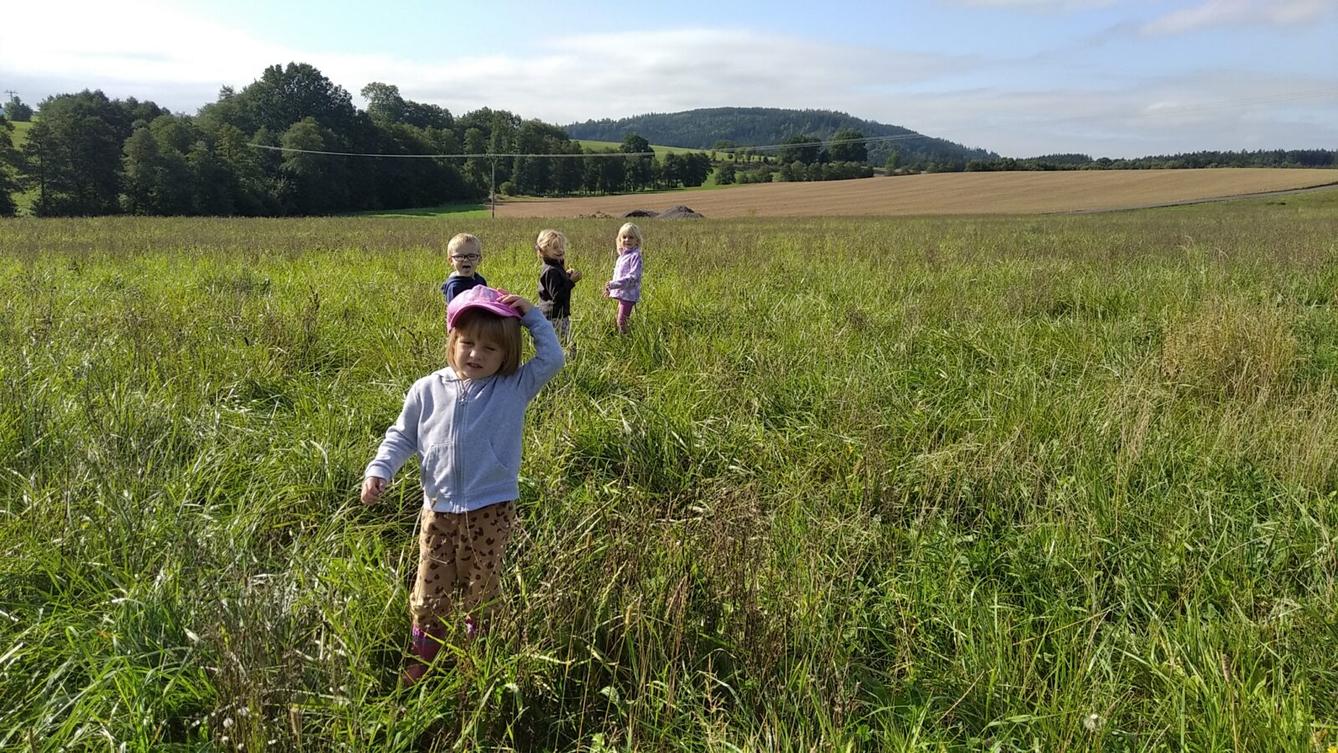 broučci: lesní dobrodružství se sovičkou jůlinkou - 7