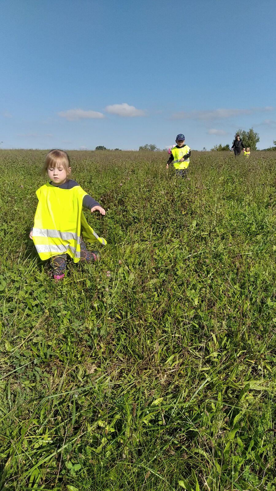 broučci: lesní dobrodružství se sovičkou jůlinkou - 9