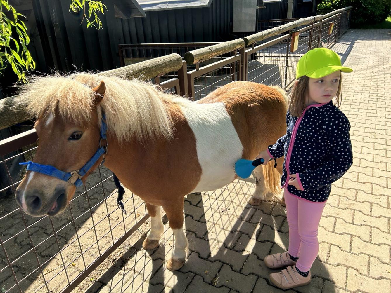 VÝLET NA BABIČČIN STATEK - 18