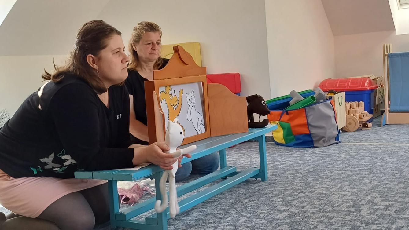 čtenářská gramotnost - jak pejsek s kočičkou dělali dort - 1