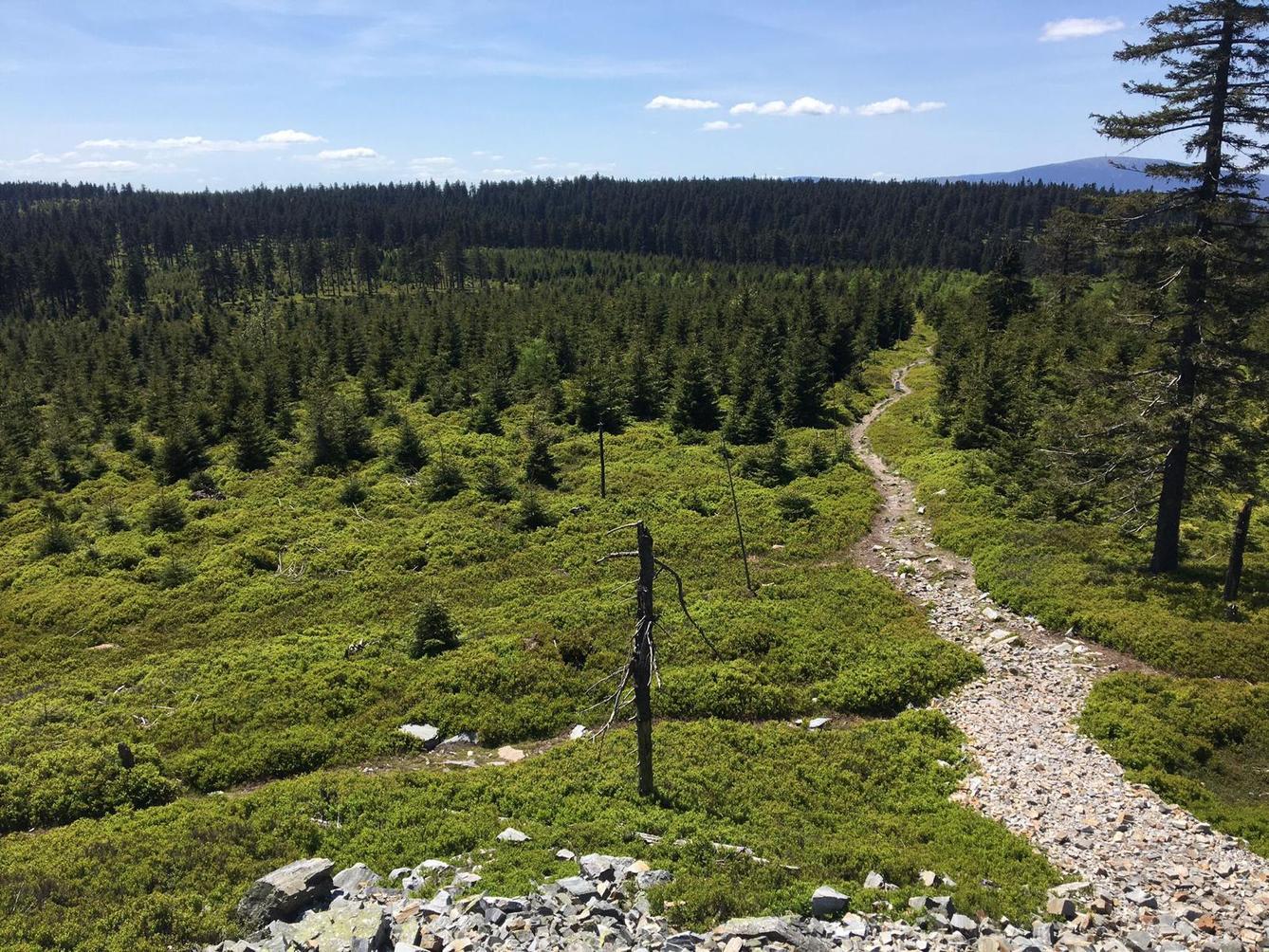 "Čtvrťáci na škole v přírodě" - 2