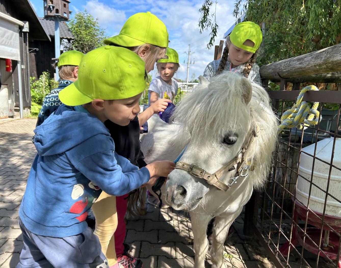 VÝLET NA BABIČČIN STATEK - 20