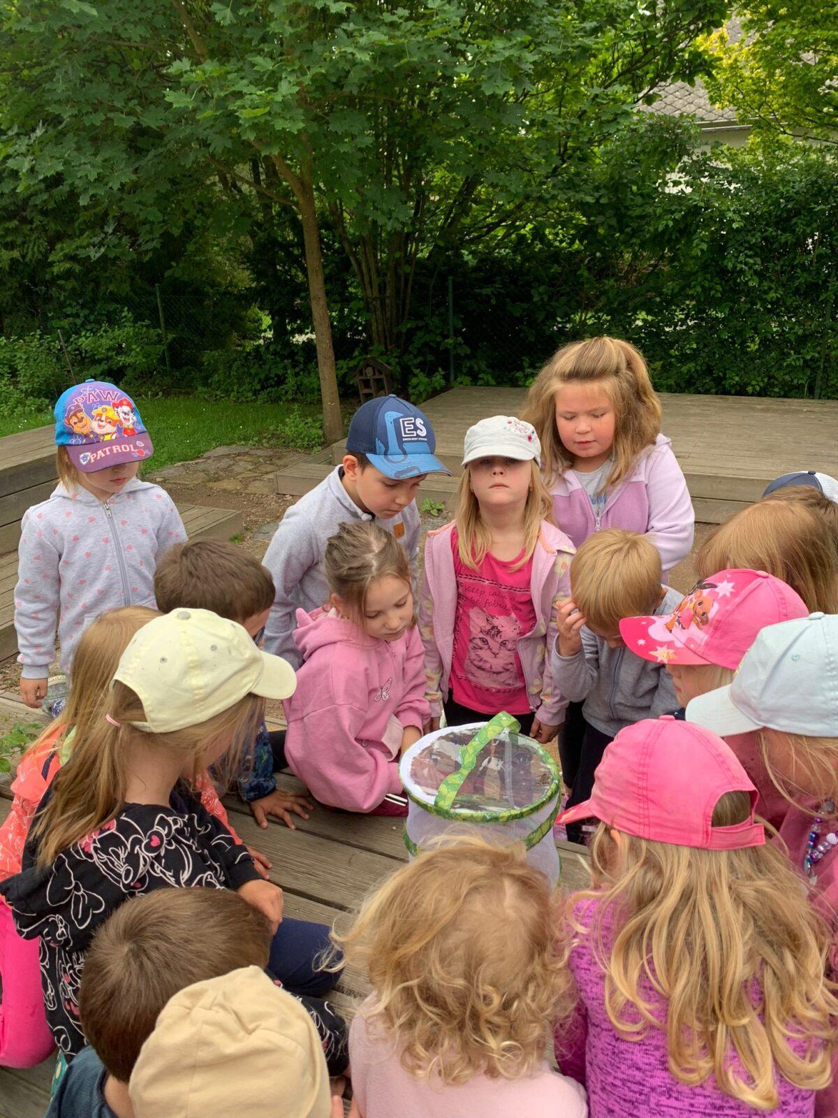 děti pozorovaly vývoj motýla... - 2