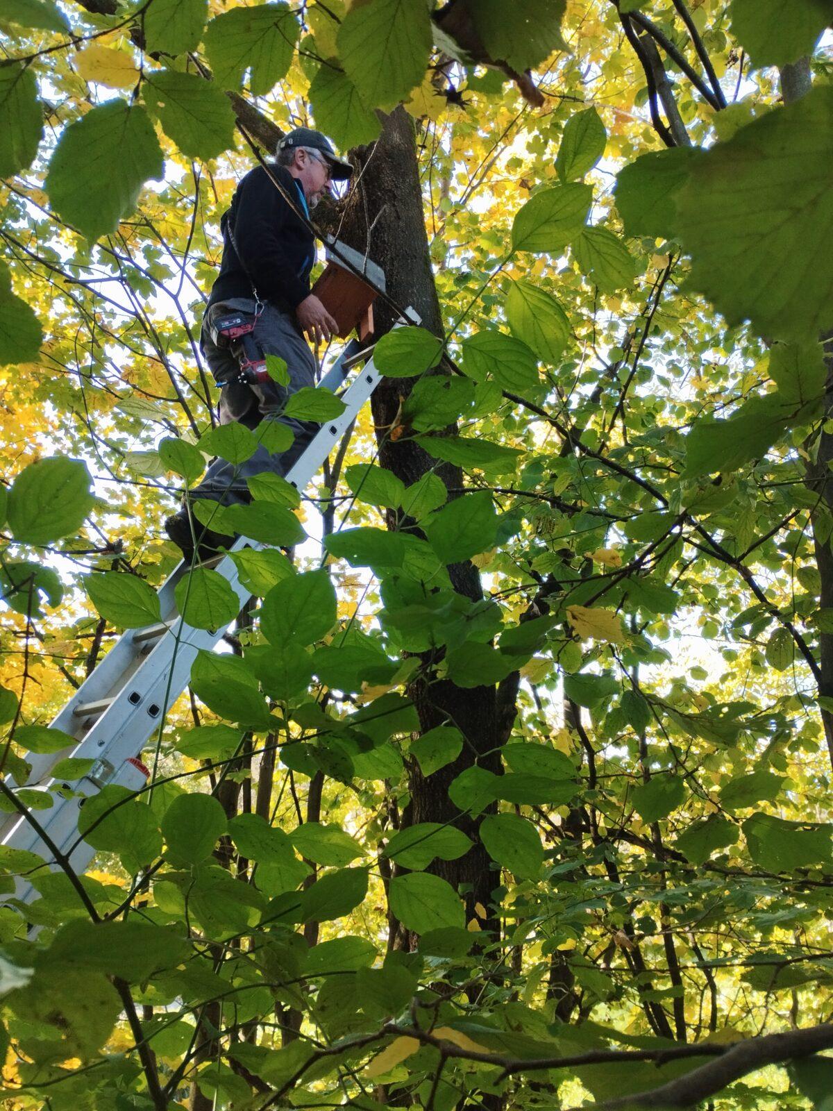 Tematická dílna Ptačí budky a krmítka - 19