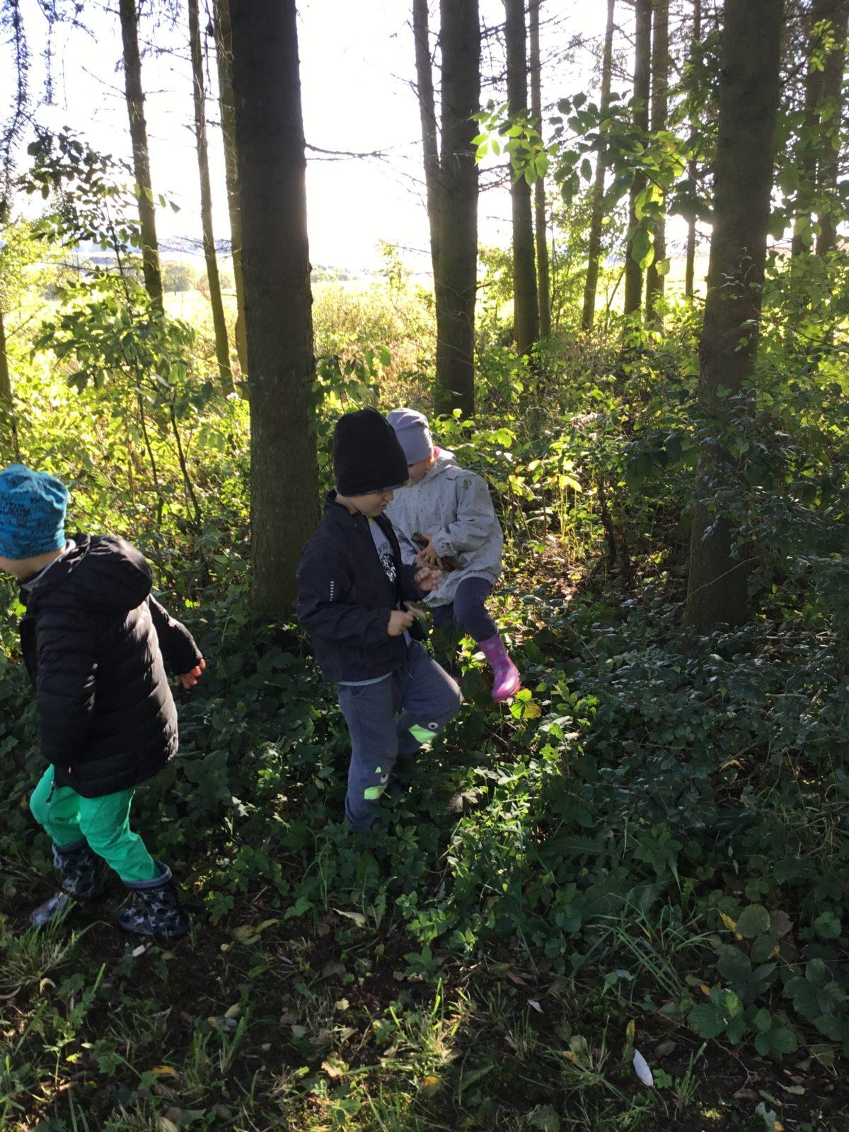 "Kam chodí broučci spát" - 10