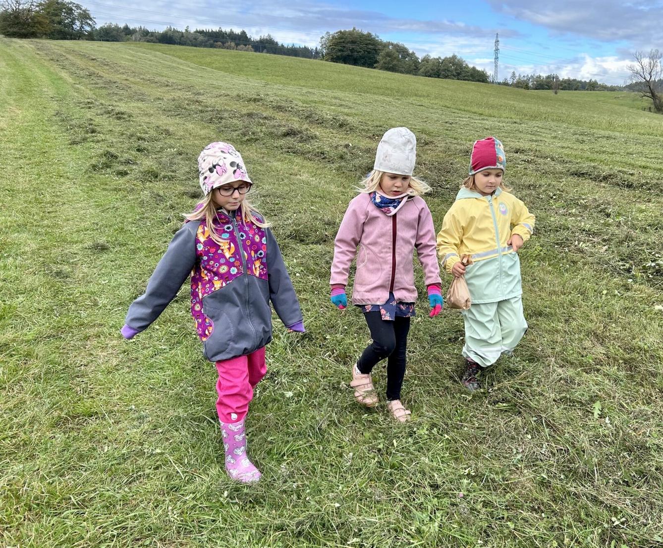 SOVIČKY: DARY PODZIMU - 10