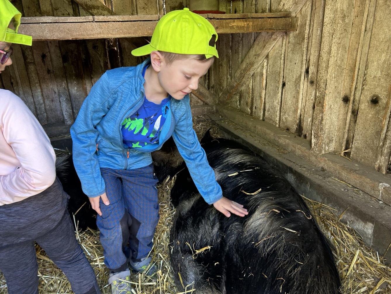 VÝLET NA BABIČČIN STATEK - 25