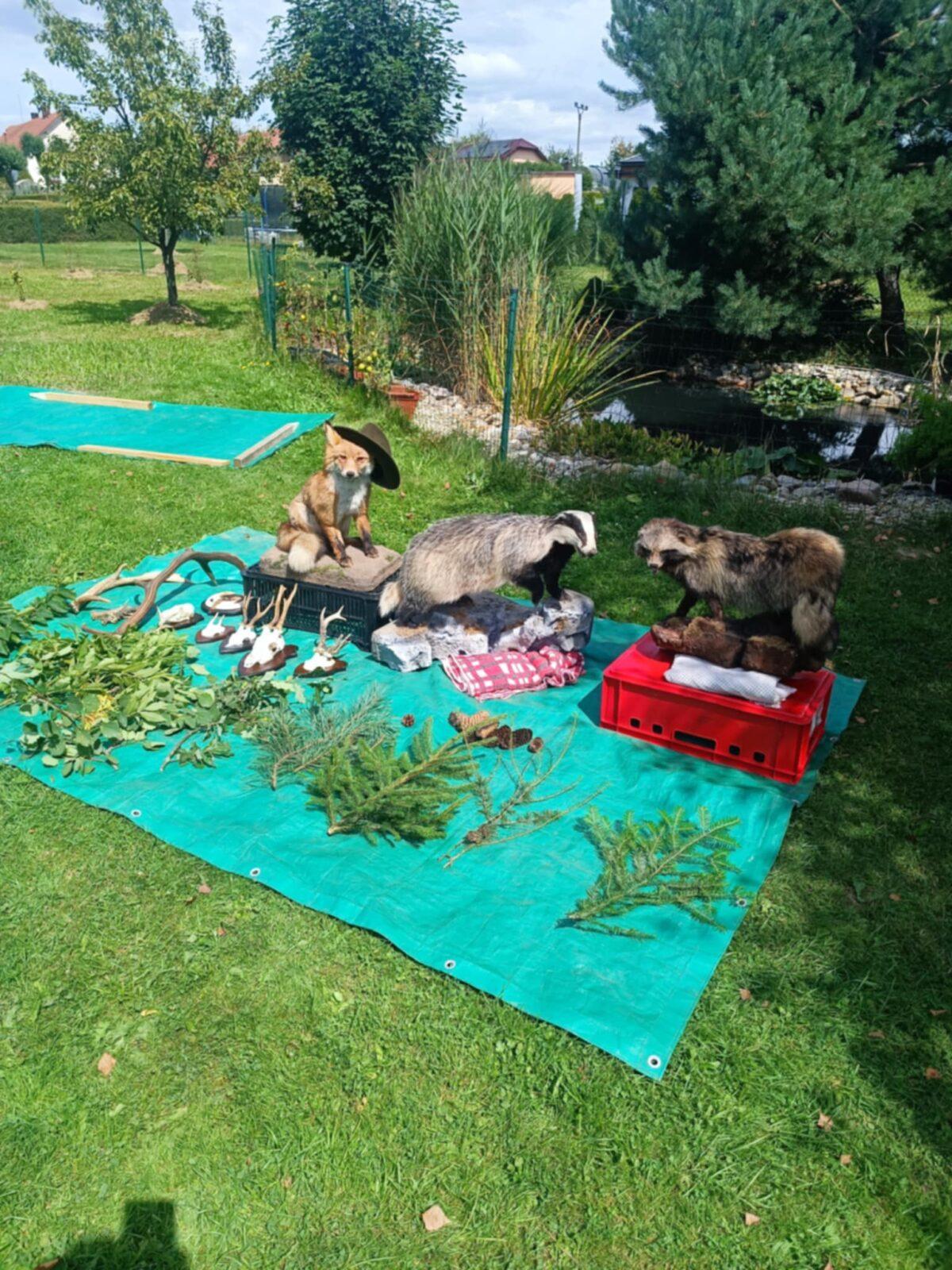 Týden plný zábavy II - pondělí - 8