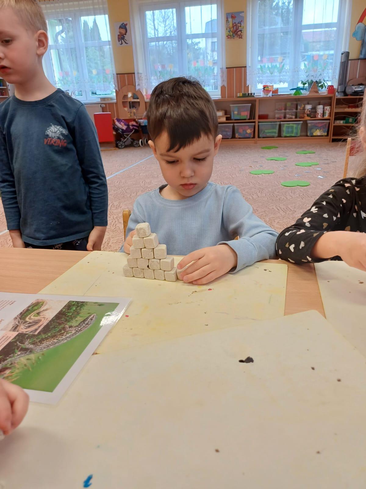 živá zahrada v naší školce - 9