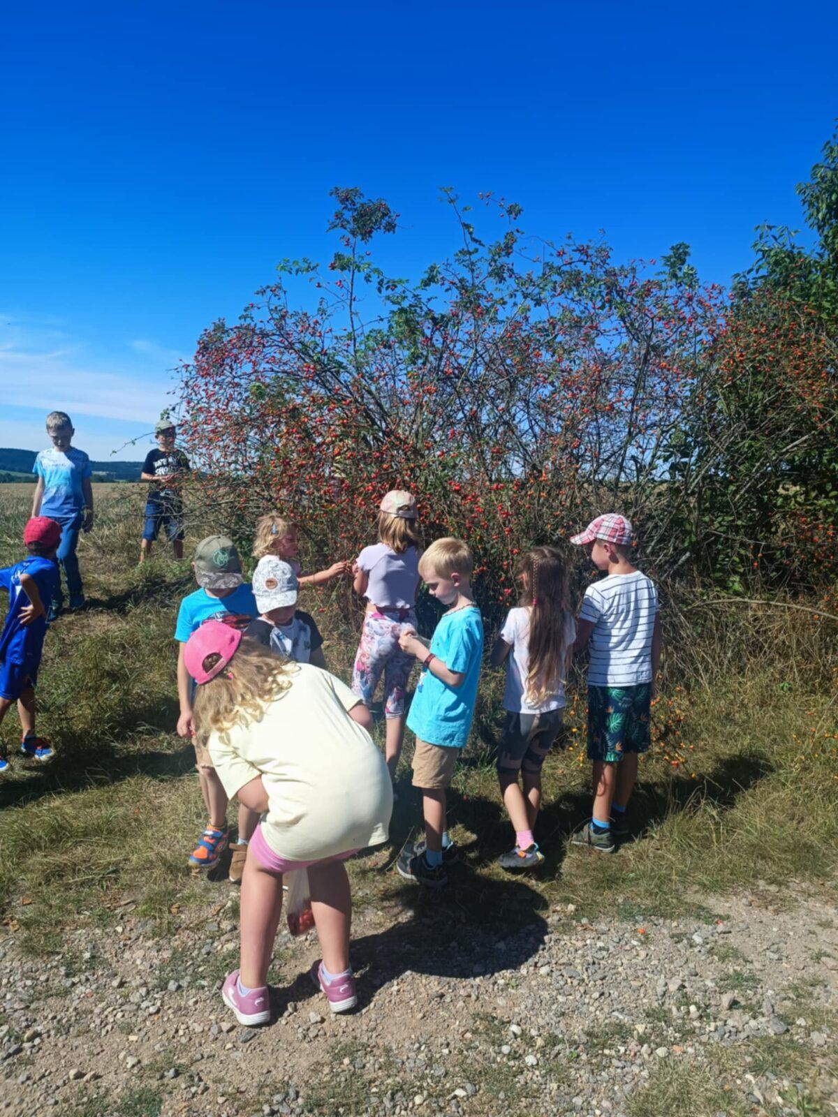 ŠKOLNÍ DRUŽINA - 2. ODDĚLENÍ -PODZIM - 6