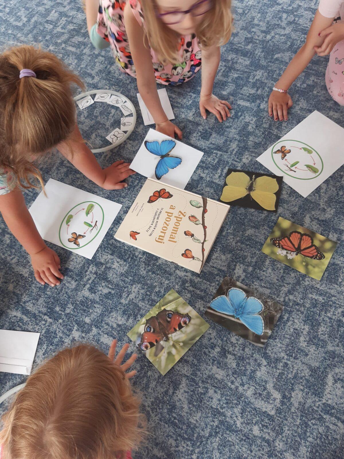 děti pozorovaly vývoj motýla... - 6