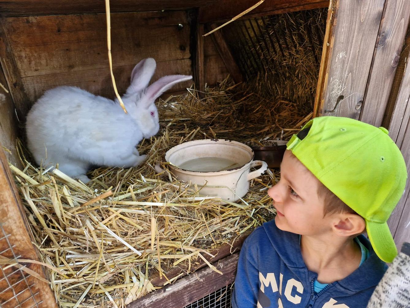 VÝLET NA BABIČČIN STATEK - 27