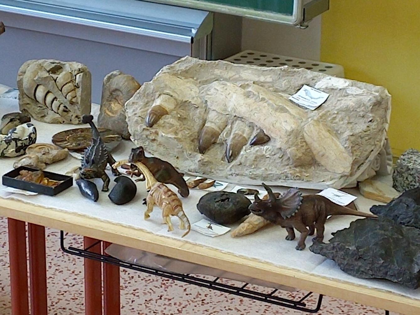 "Cesta do pravěku" v 1. třídě - 15