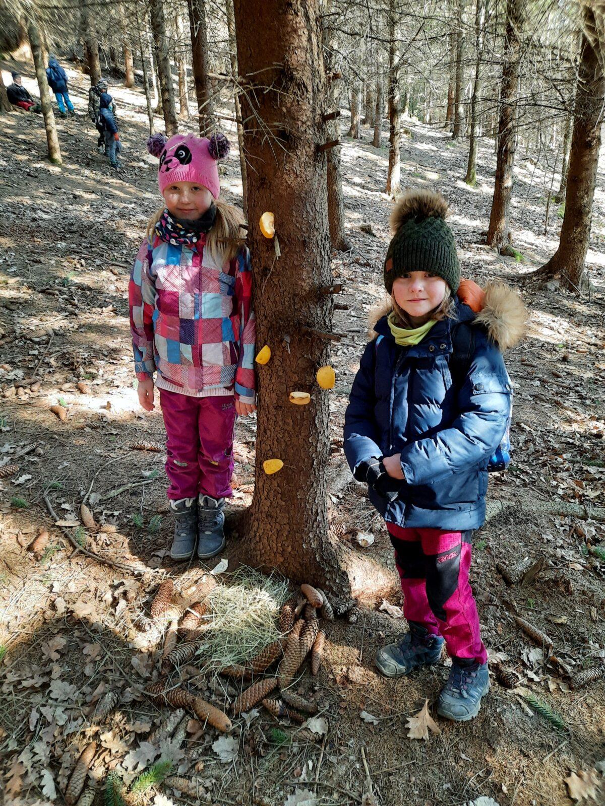 11. 3. Přírodovědná vycházka do lesa, 2. třída - 6