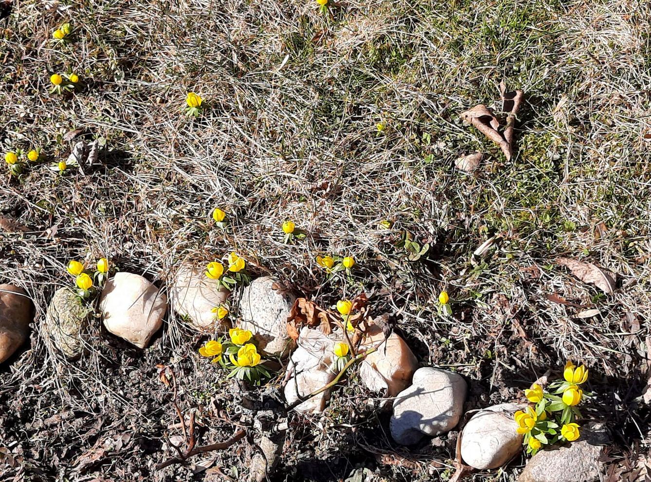 11. 3. Přírodovědná vycházka do lesa, 2. třída - 13