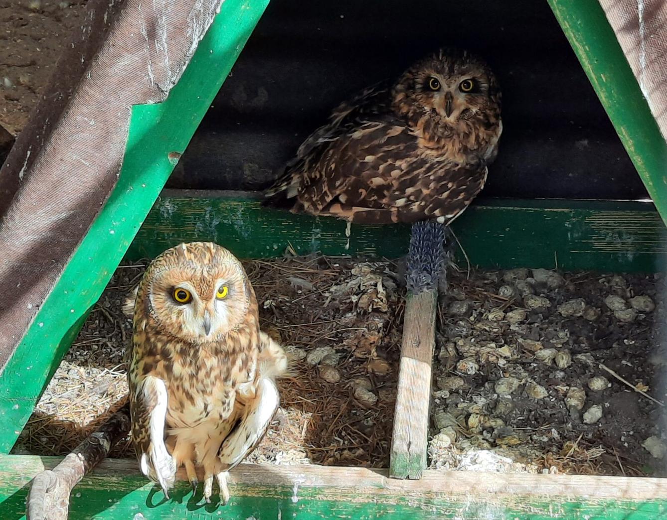 30. 5. Království sov a papoušků, 2. třída - 3