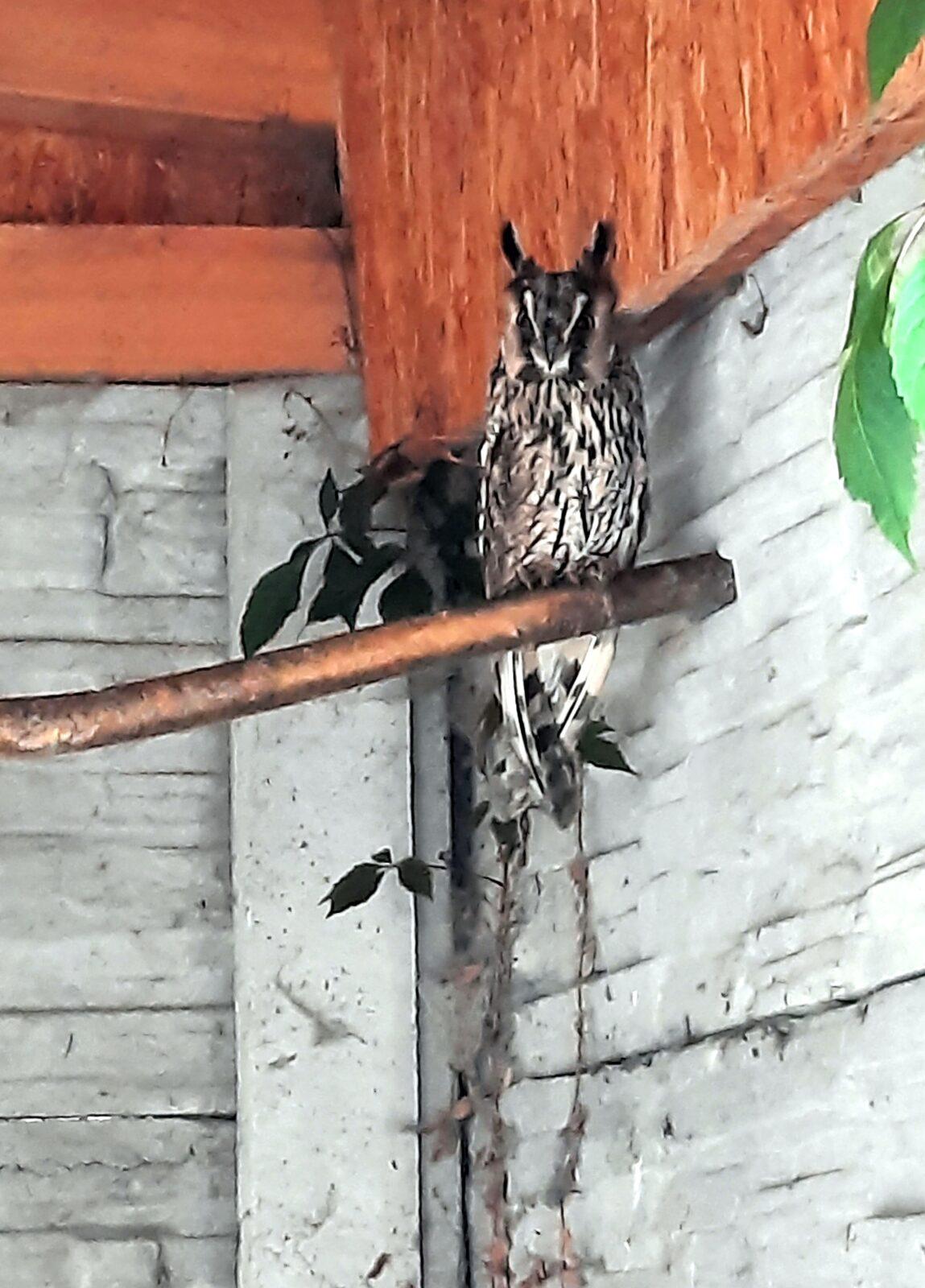 30. 5. Království sov a papoušků, 2. třída - 5