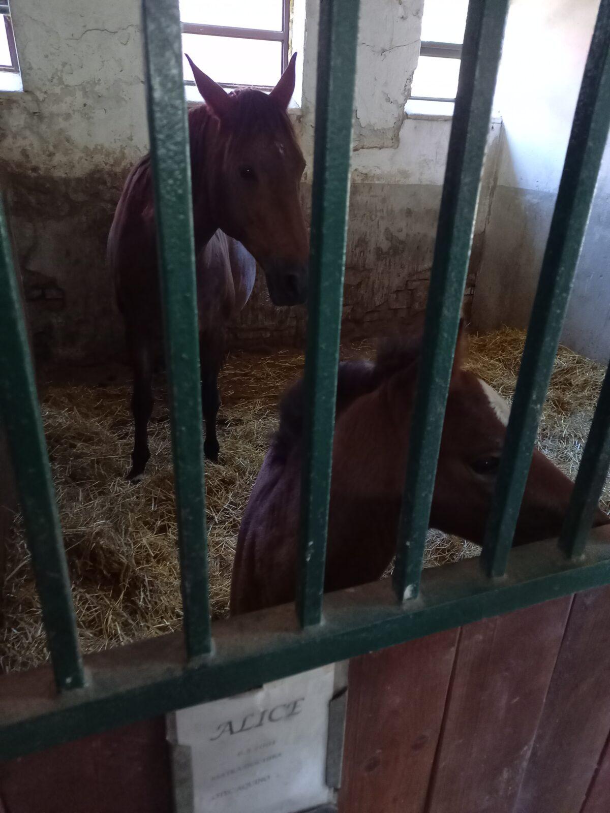 Škola v přírodě - den čtvrtý - 7