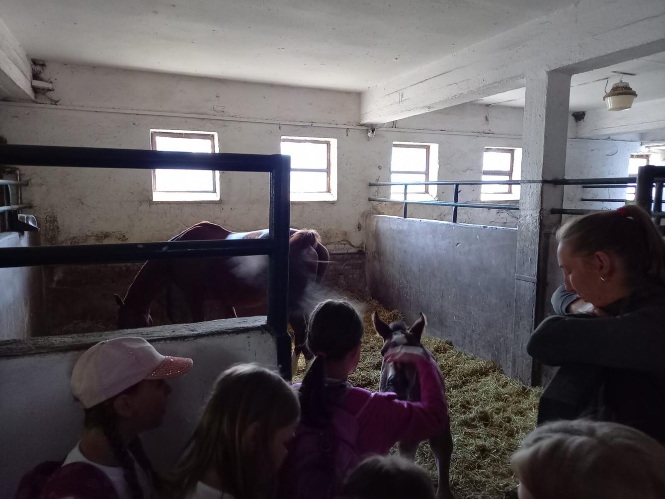 Škola v přírodě - den čtvrtý - 8