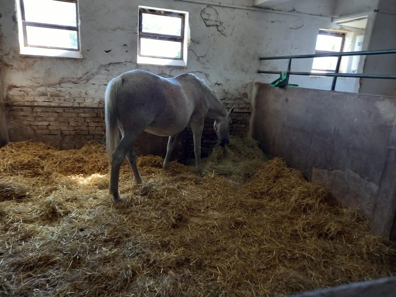 Škola v přírodě - den čtvrtý - 9