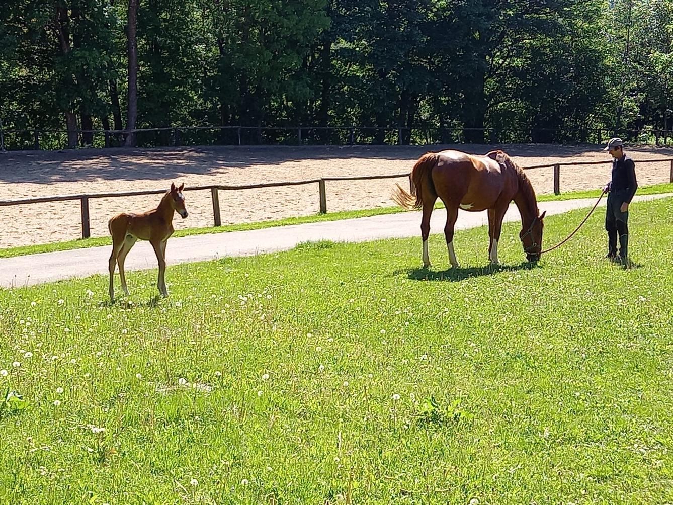 Škola v přírodě - den čtvrtý - 12