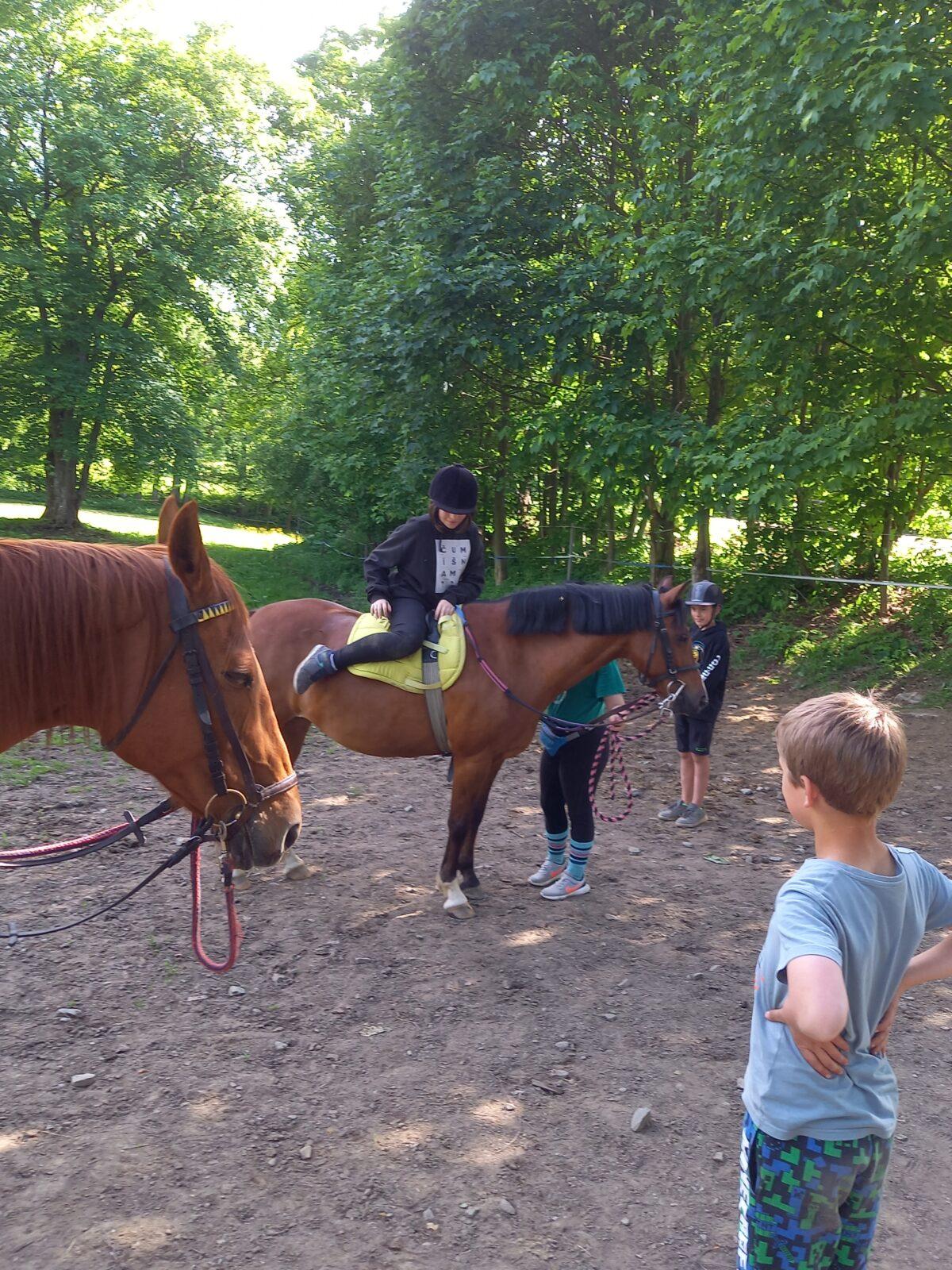 Škola v přírodě - den čtvrtý - 29