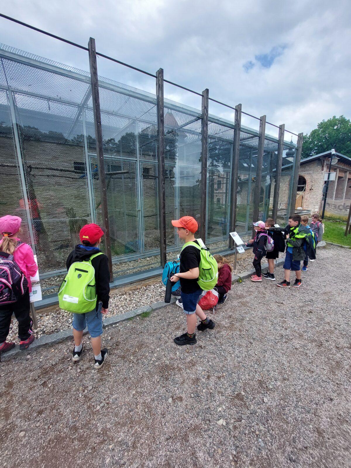 Třeťáci - školní výlet do SkiPi parku - 13