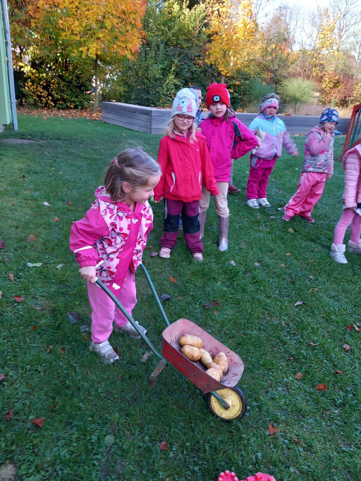 Bramborování 2022 - MŠ Korálek - 13