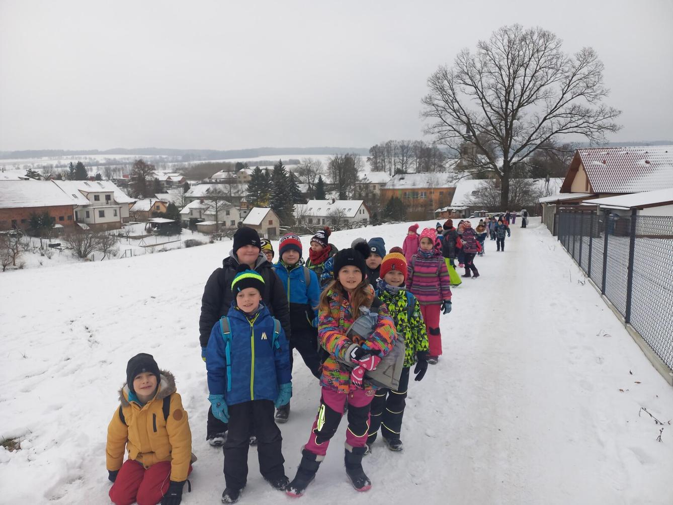 Vánoční les na 1. stupni - 1