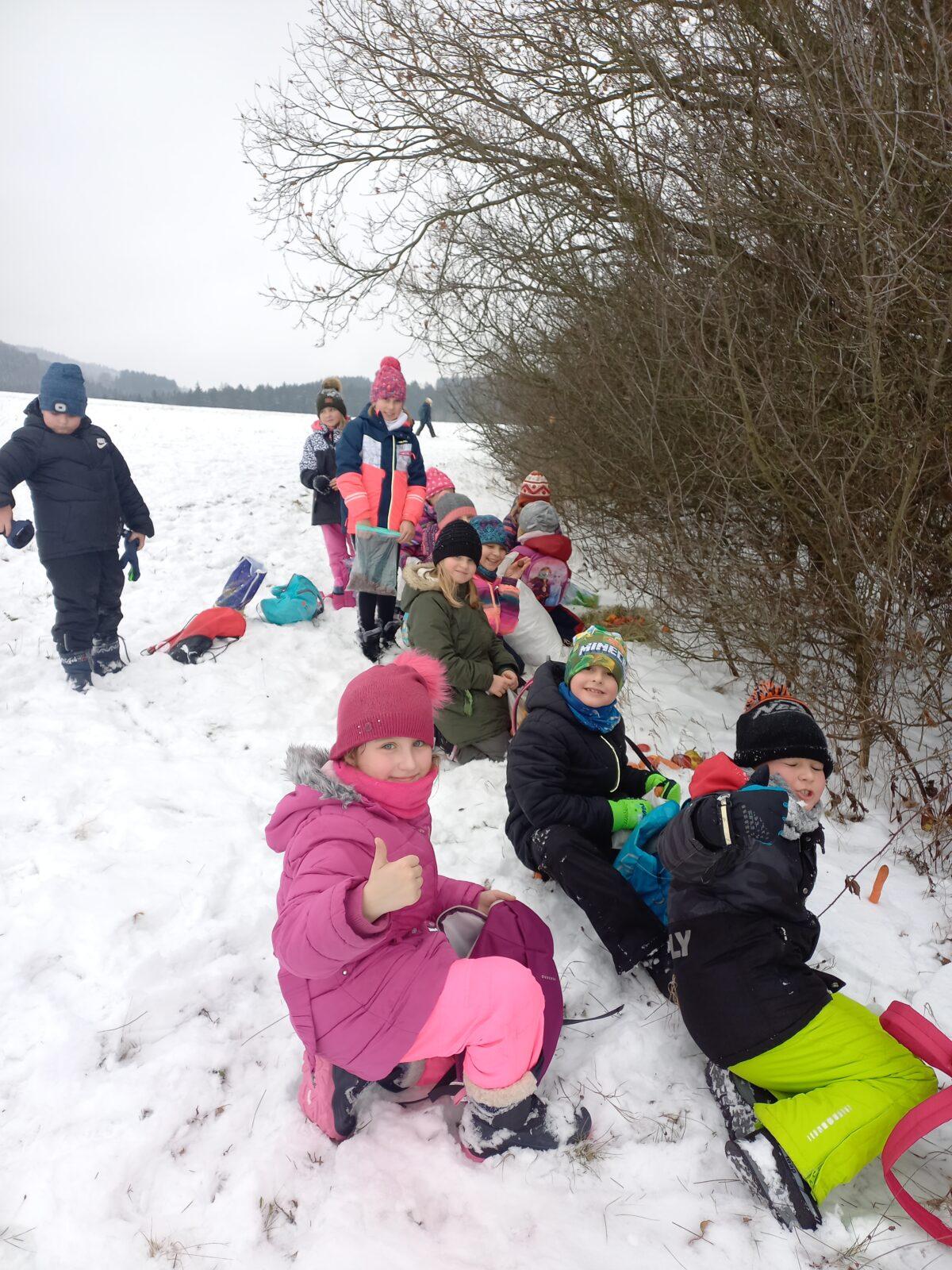 Vánoční les na 1. stupni - 3