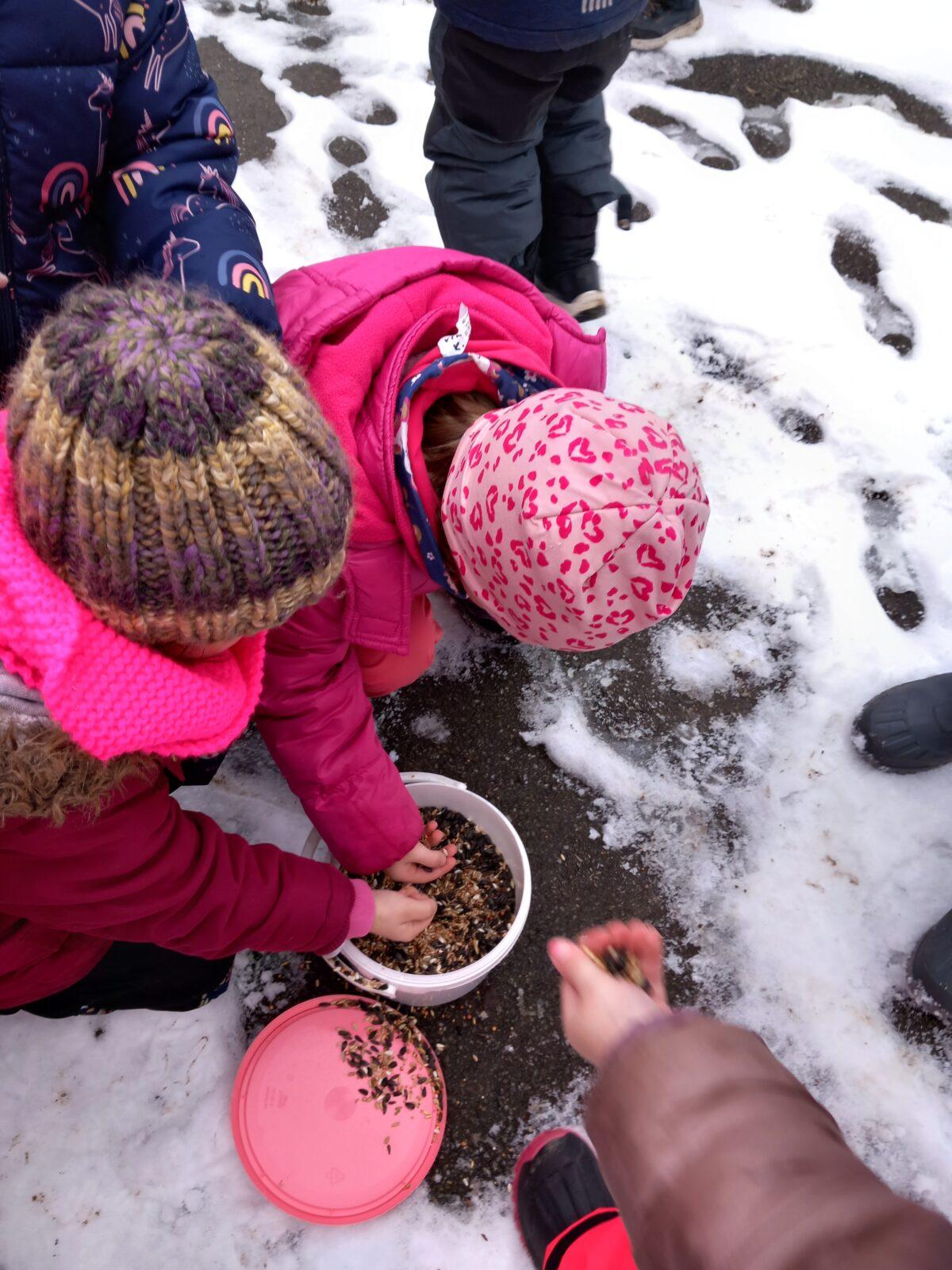 Krmení ptáčků v zimě - 1