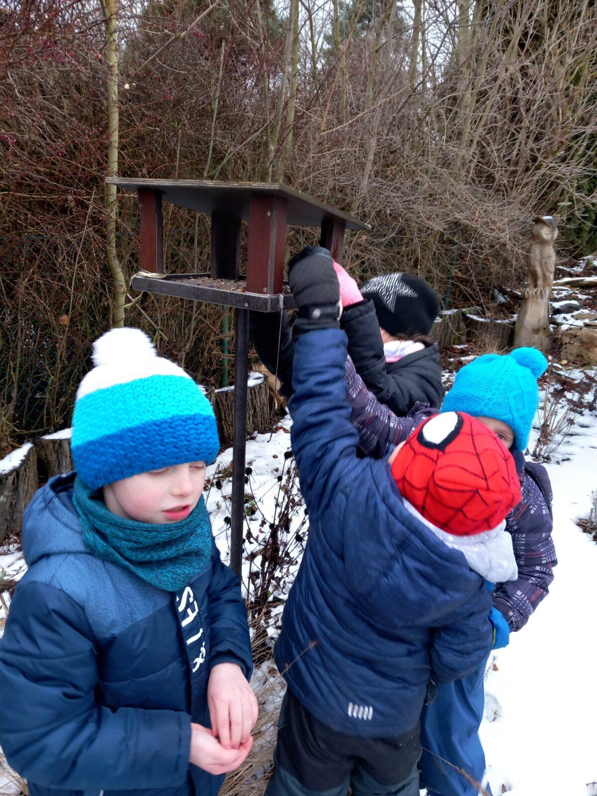 Krmení ptáčků v zimě - 2