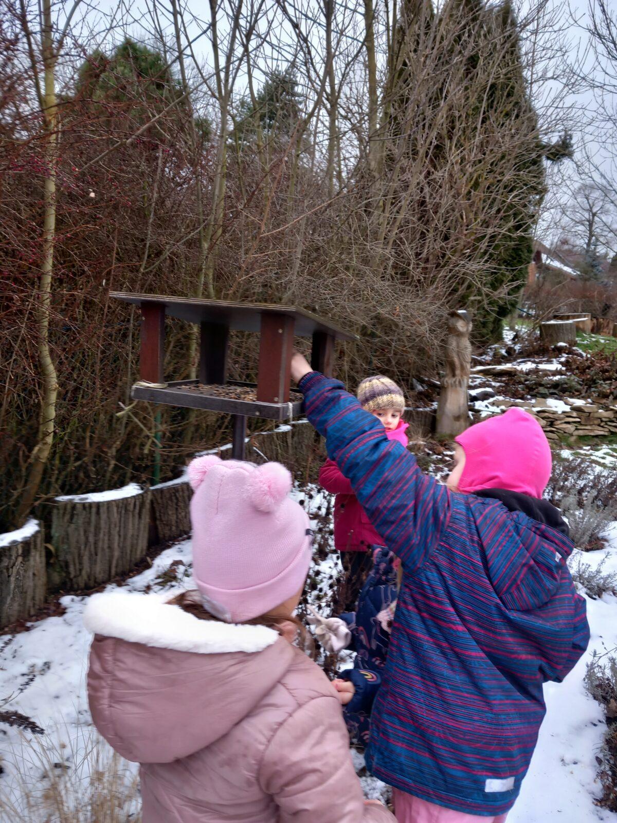 Krmení ptáčků v zimě - 3