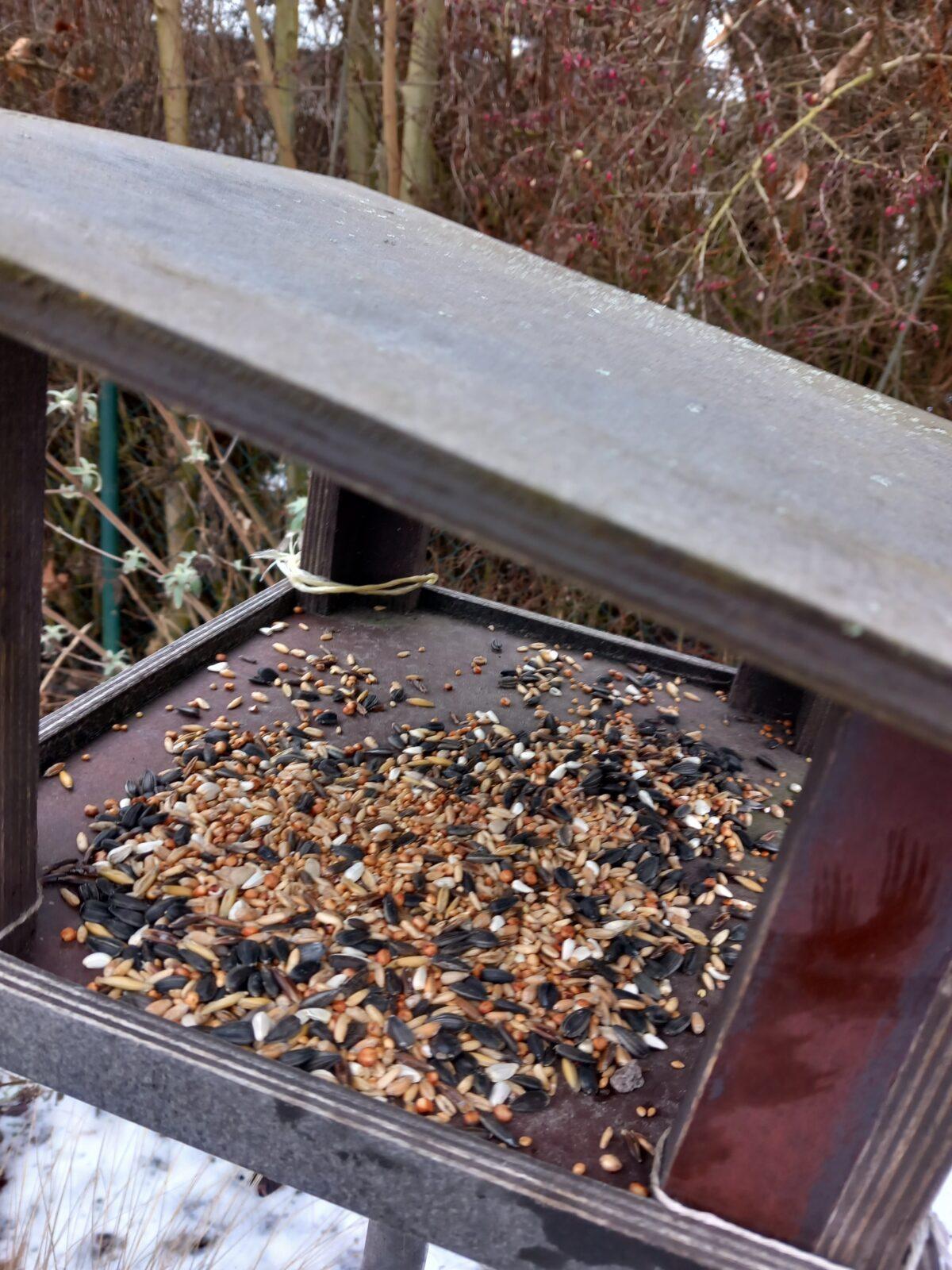 Krmení ptáčků v zimě - 4