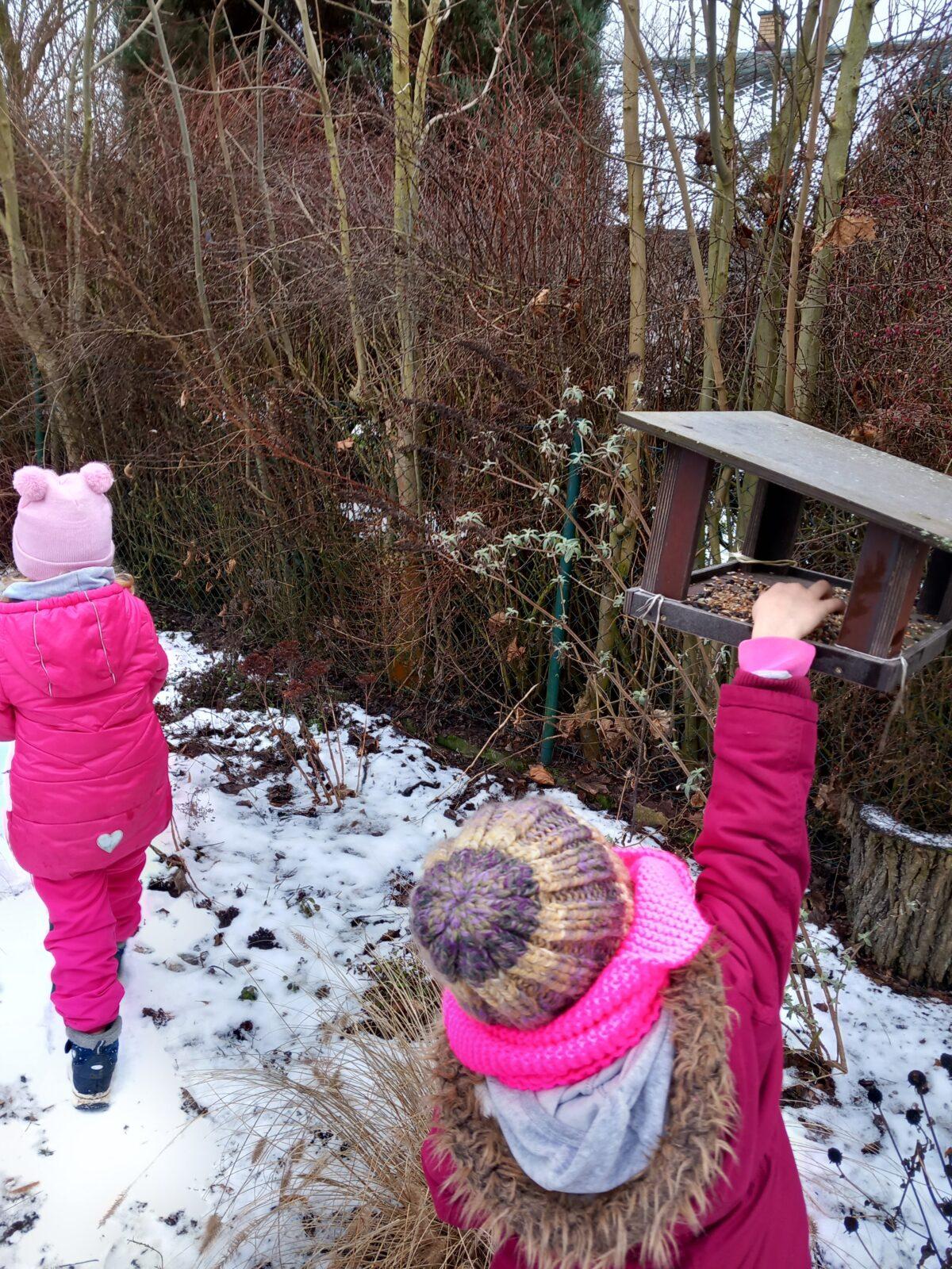 Krmení ptáčků v zimě - 5