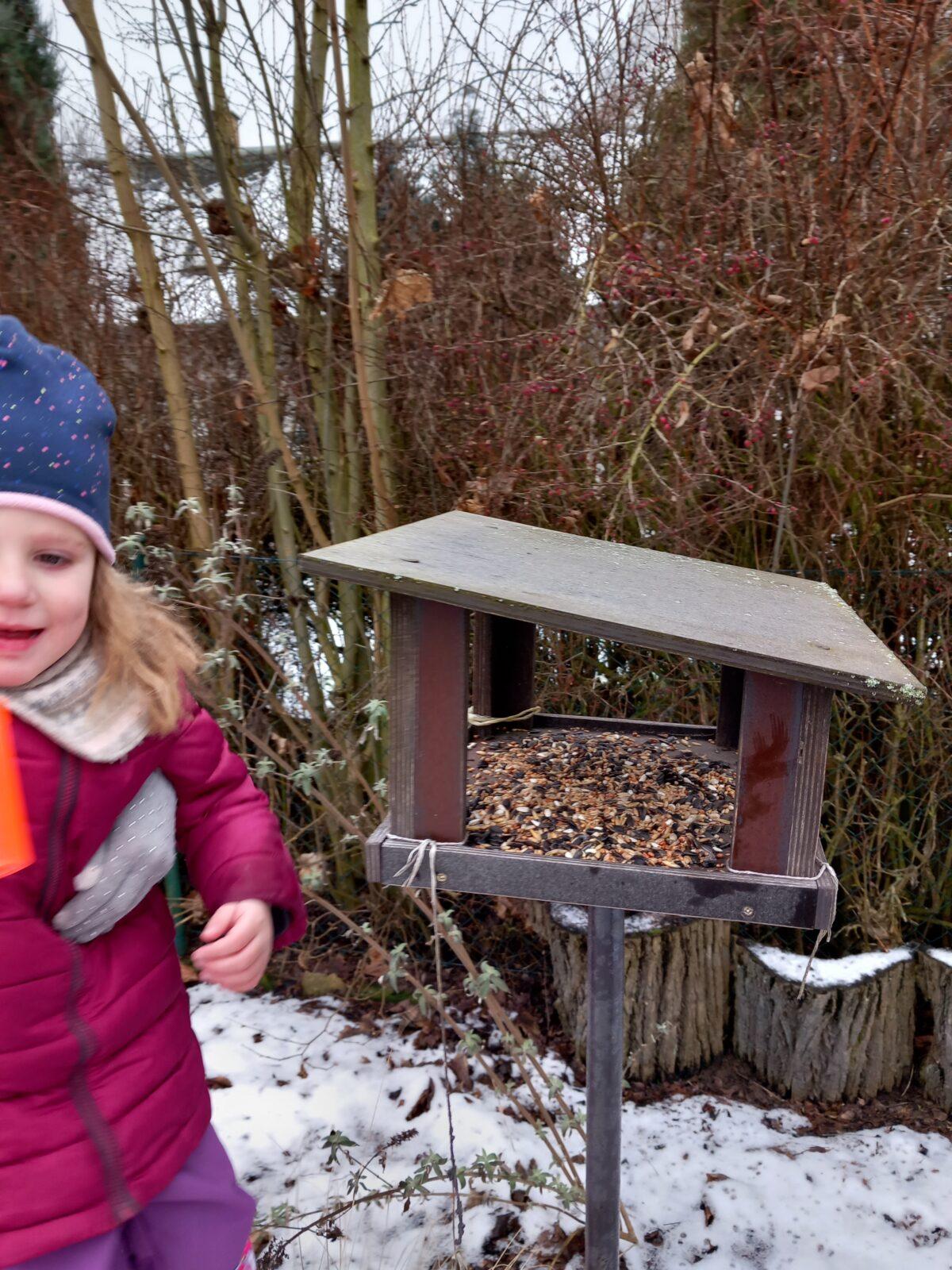 Krmení ptáčků v zimě - 7