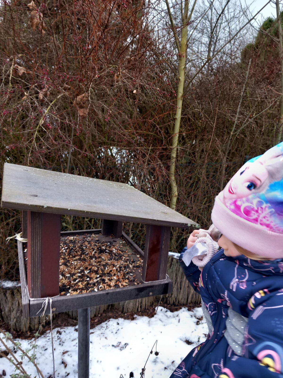 Krmení ptáčků v zimě - 8