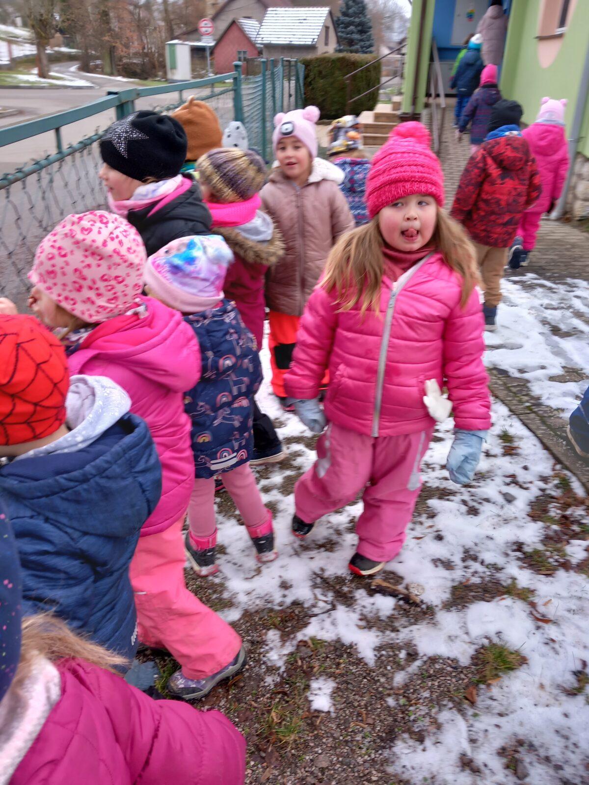 Krmení ptáčků v zimě - 9