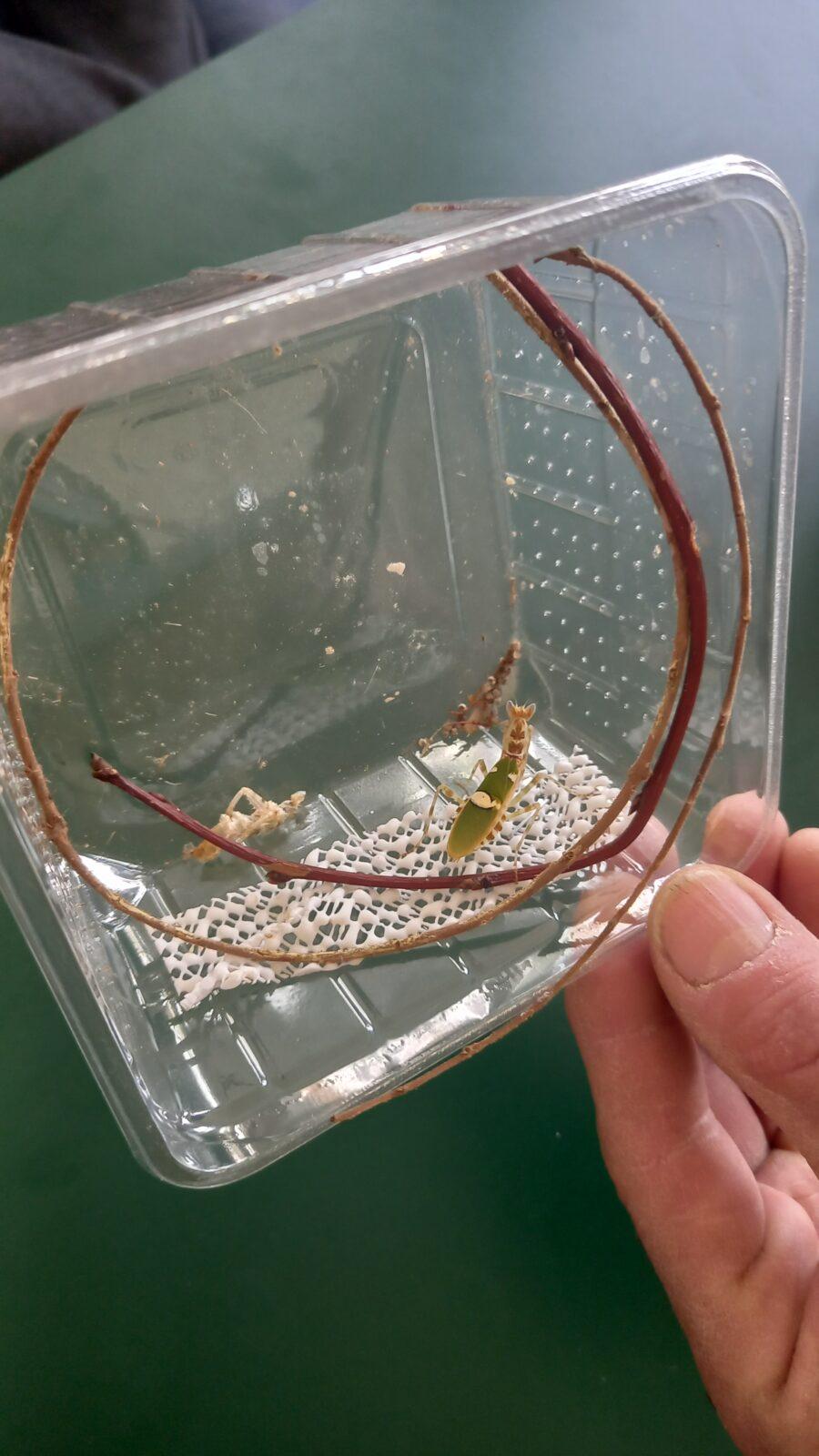 Přednáška s ukázkami exotických zvířat - 2