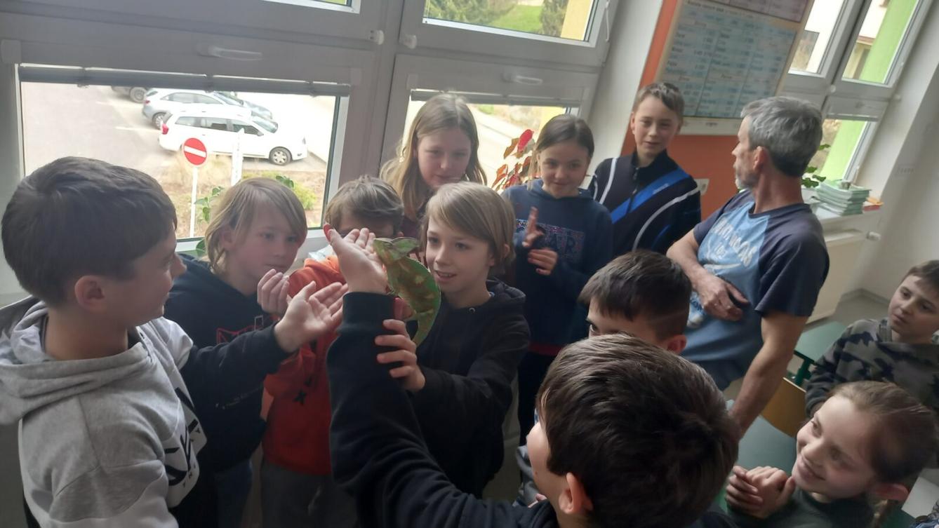 Přednáška s ukázkami exotických zvířat - 7