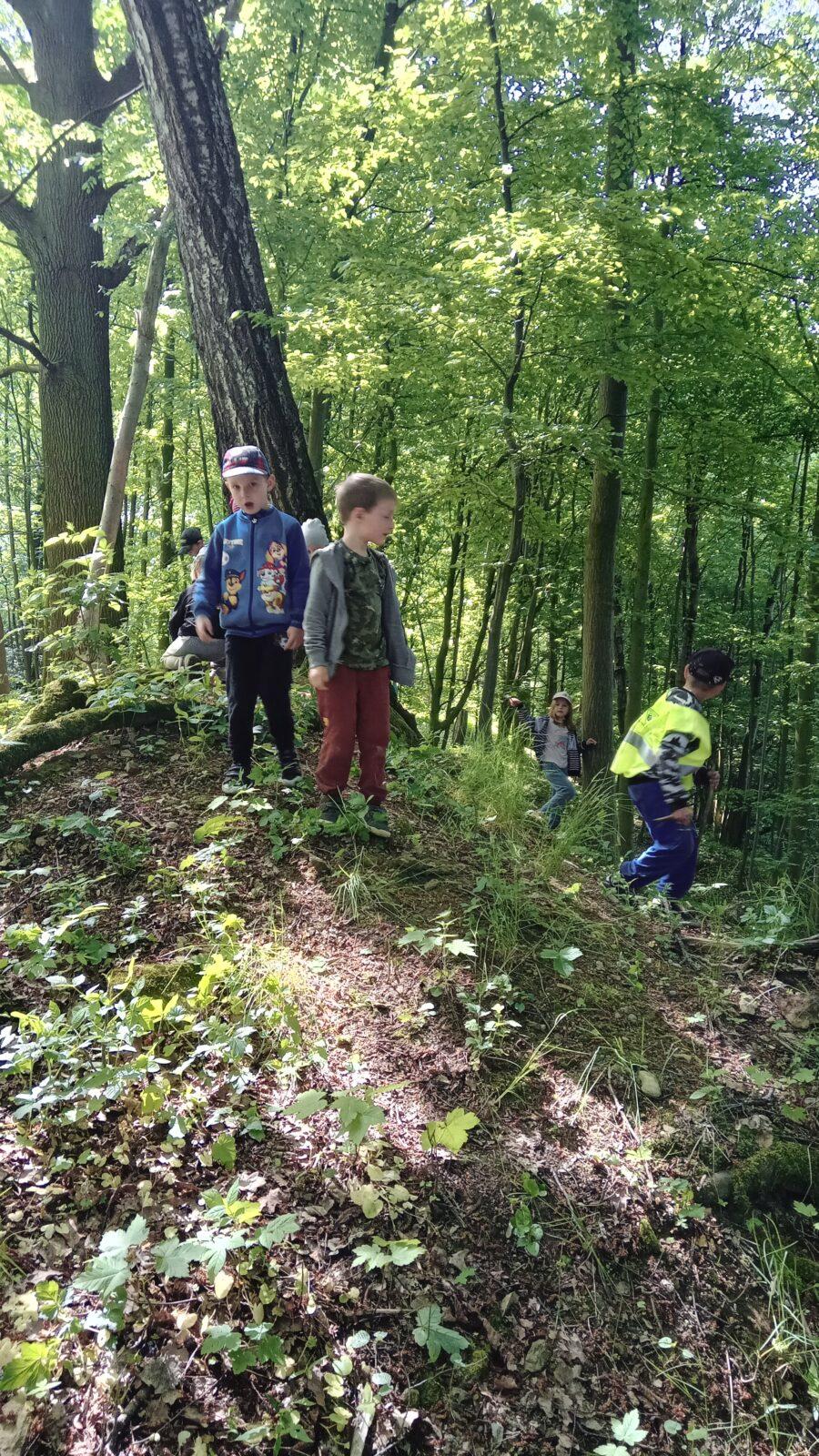 Procházka do lesa - 5