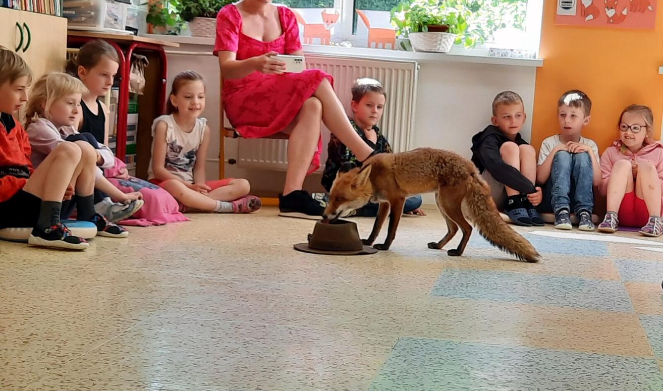 31. 5., Liška u prvňáčků - 4