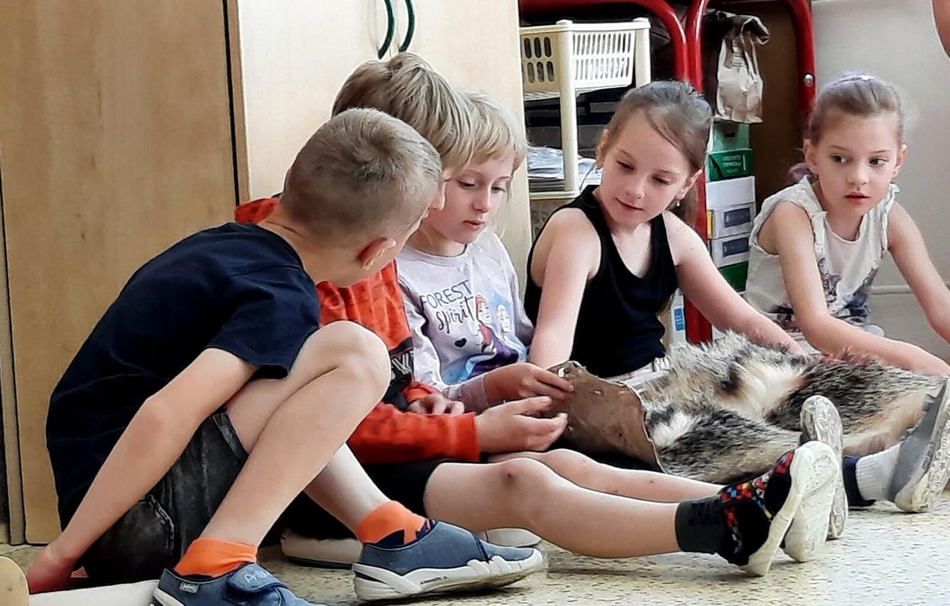 31. 5., Liška u prvňáčků - 17